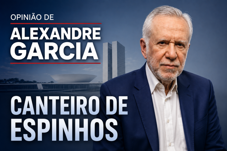                                         CANTEIRO DE ESPINHOS